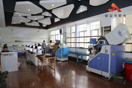 新泰华鞋业 引领OEM代工新篇章