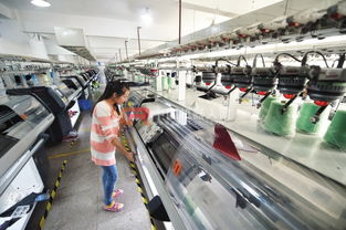 机器来了，人去哪了？——机器换人进程中的台州鞋业产业工人现状调查